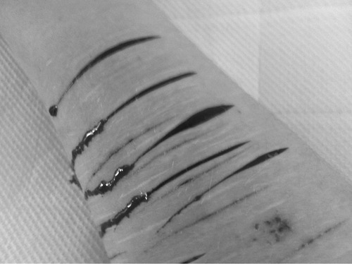 esfriou-se.tumblr.com/post/36078401964/