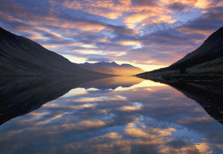 Moongroove:  Scottish Highlands By Guy Edwards  Magical.