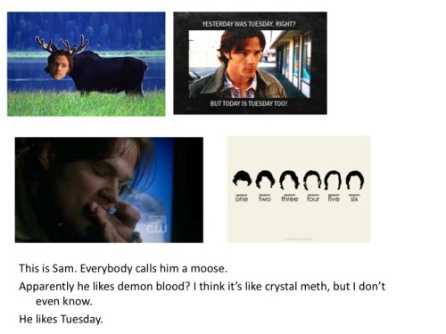 ixnay-on-the-oddk:  veronicawuster:  deanisanactualprincess:  dancelovehappyness:  pineappledean:  No wonder people look at us funny.   OMG THIS IS PERFECT   Except Sam definitely does not like Tuesdays.  I was just about to add that ^. No supernatural