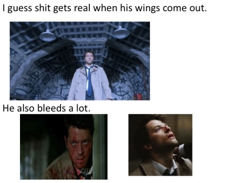 ixnay-on-the-oddk: veronicawuster: deanisanactualprincess: dancelovehappyness: pineappledean: No won