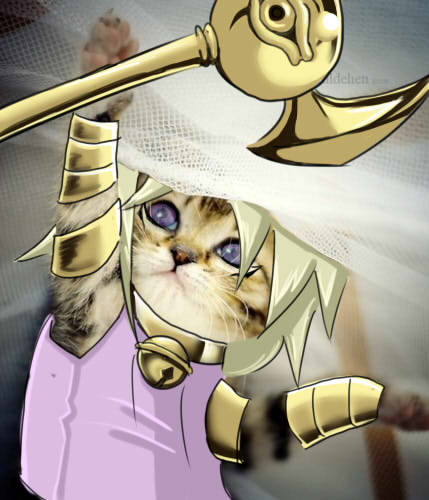 (ﾉ◕ヮ◕)ﾉ*: ･ﾟ✧