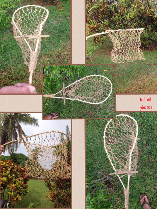 Just finished my scoop net. Made from hau and ulei. Can’t wait to try it in the kahawai (strea