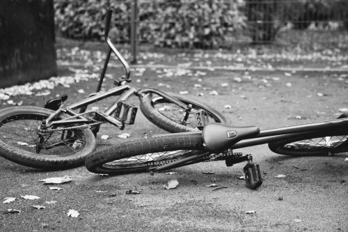 angussung: Autumn, 2012.