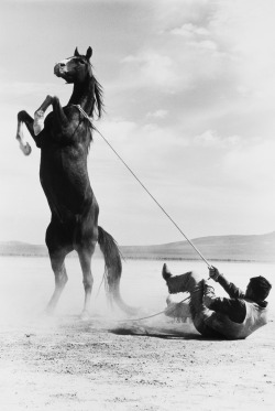 Ernst Haas:  Stuntman with Mustang on the