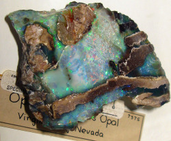 themineralogist:  Precious Opal (by adamantine)