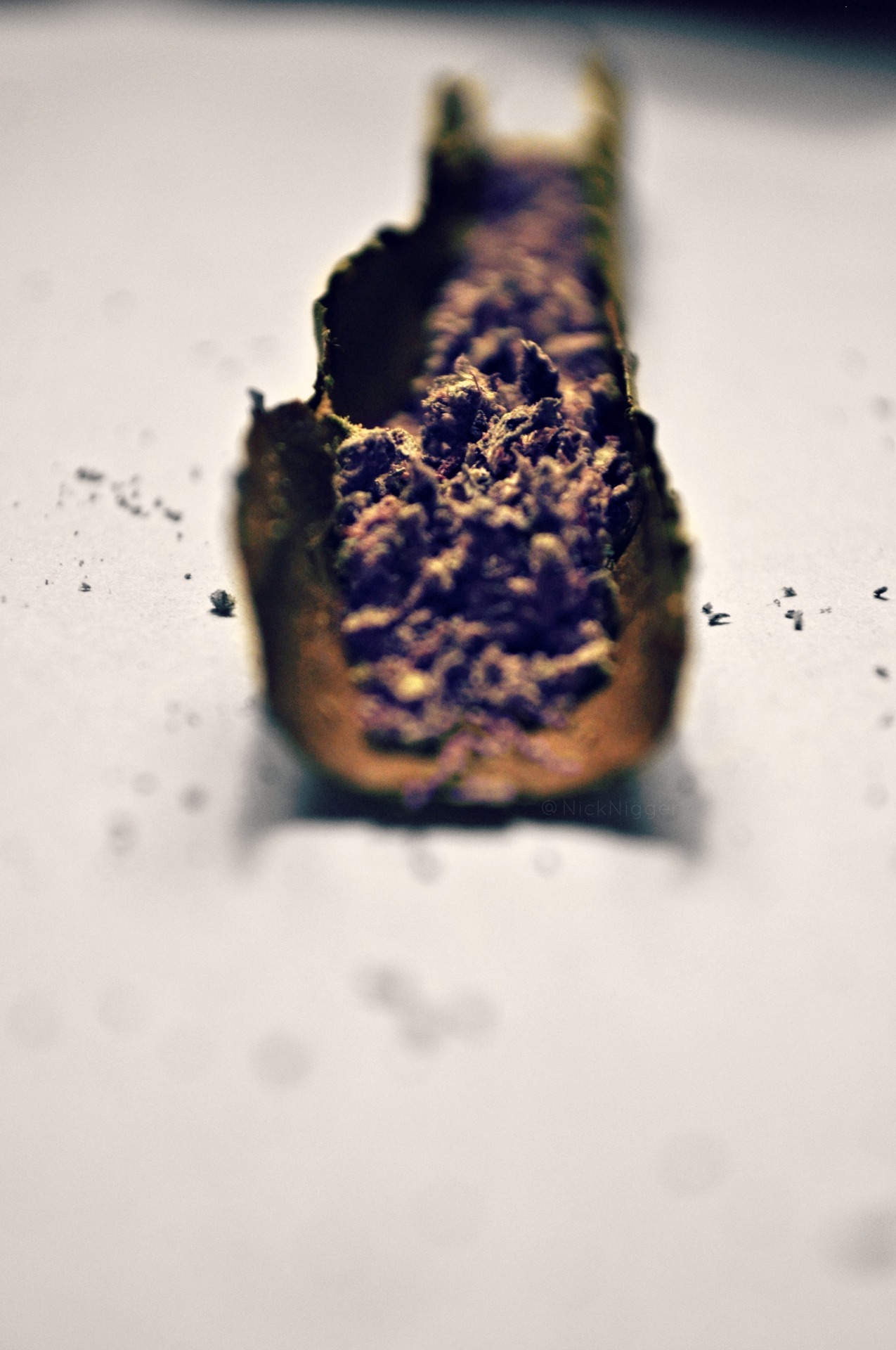 nicknigger:  purp in tha blunt, taken 11/12/2012 