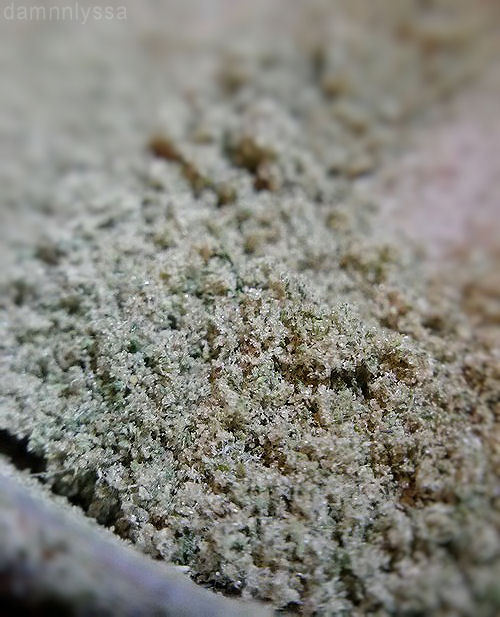 damnnlyssa:  kief close up 