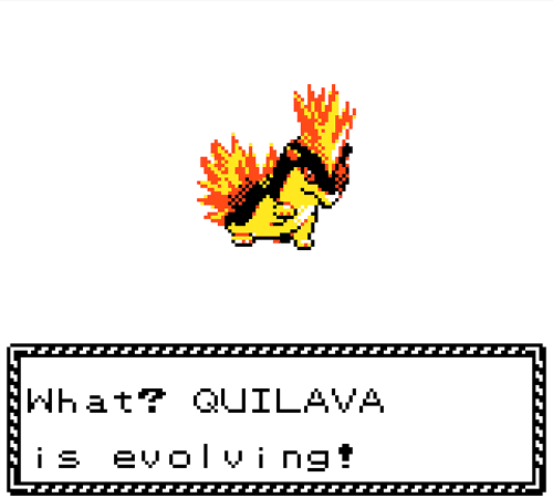 meteor-falls:  Quilava evolved on Route 42