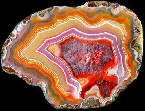 Argentina Condor Agate