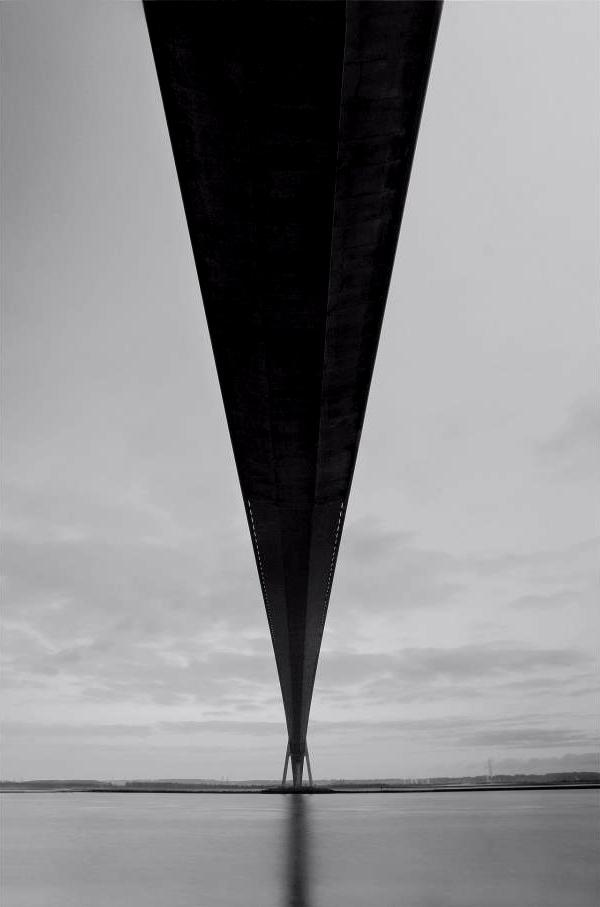 fiore-rosso:  bourgeois david. 