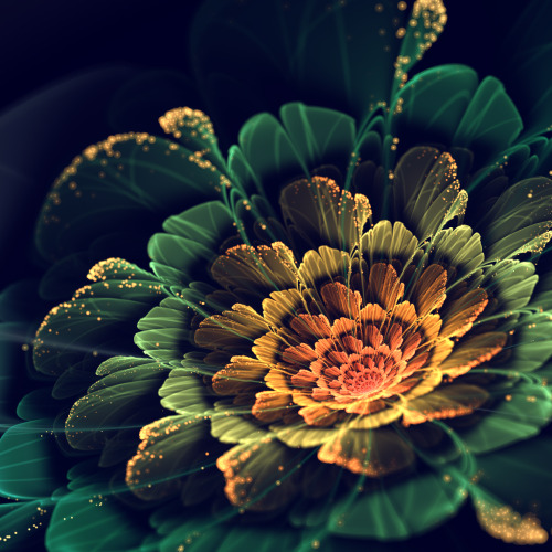 fer1972:  Fractal Flowers by Silvia Cordedda