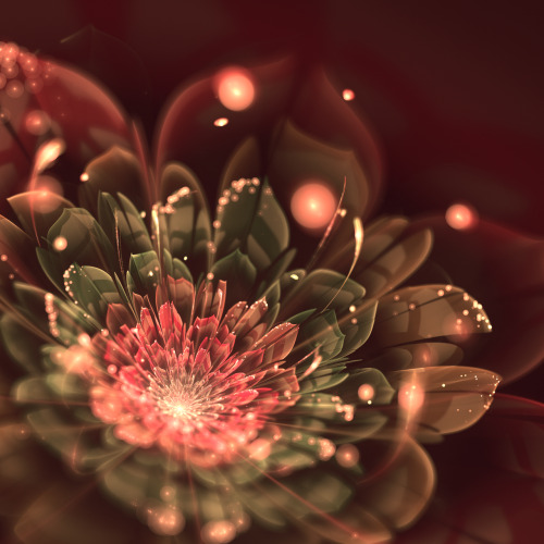 fer1972:  Fractal Flowers by Silvia Cordedda