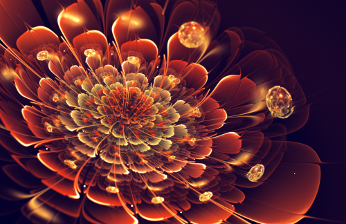 fer1972:  Fractal Flowers by Silvia Cordedda