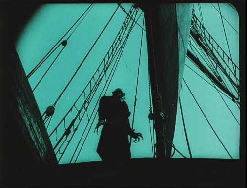 Friedrich Wilhelm Murnau - Nosferatu - Une symphonie de l'horreur, Allemagne, 1922.