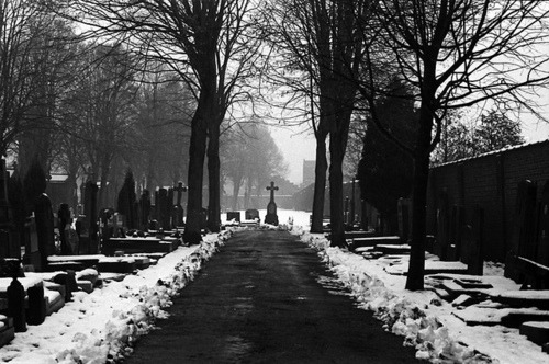 absinthecorpse.tumblr.com/post/106781637361/