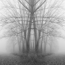 nevver:  It was autumn, the springtime of death.