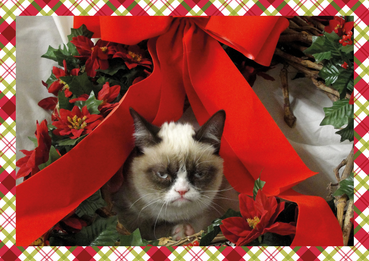How about this as a design for a holiday card? Anyone interested?
 Take the poll...