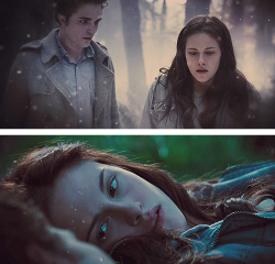 amyadamses:   “And so the lion fell in love with the lamb…” 