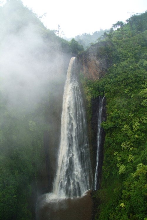 nosens:  Manawaiopuna Falls (Jurassic Park) (by Brian Howell)  want more posts like this? check out 
