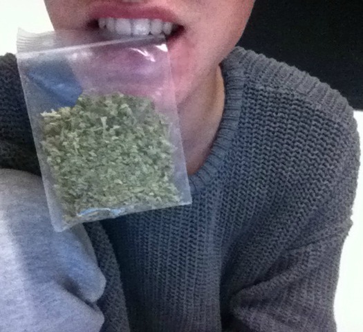 coachela:  c-hnel:  ♡ pale/pastel/soft grunge ♡  i miss that weed 