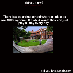 mother-of-all-monsters:  allthe-lights-inthe-sky:  viridian-genesis:  bluhbluhhugedork:  wristsareforbracelets:  fight-the-world:  diagondaley:    SUMMERHILL SCHOOL!!! ENGLAND!!!!   My teacher told me about this in high school. As humans we have a natural