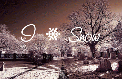 Deck the halls with boughs of holy!
