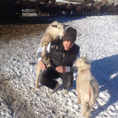 hockeyplayerswithpets: Evgeni Malkin with goats (Source: @emalkin71_)