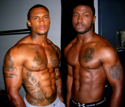 stoppfeenin:  David Mcintosh & Camell