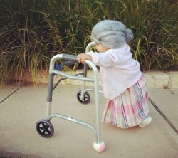 carcrashedheartintheblackparade:  cjshark:  mariahhlynn:  alyricalsecret:  Best toddler costume ever  STOP IT RIGHT NOW MY HEART CAN’T HANDLE THIS 