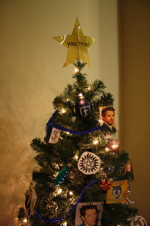 thedailywhat:  Holiday Spirit of the Day: Tumblr Christmas Tree  Tumblr blogger Crummywater gears up for the holiday season with a meme-themed Christmas tree!  crummywater:  Bought and Tumblrfied my Christmas Tree today!  