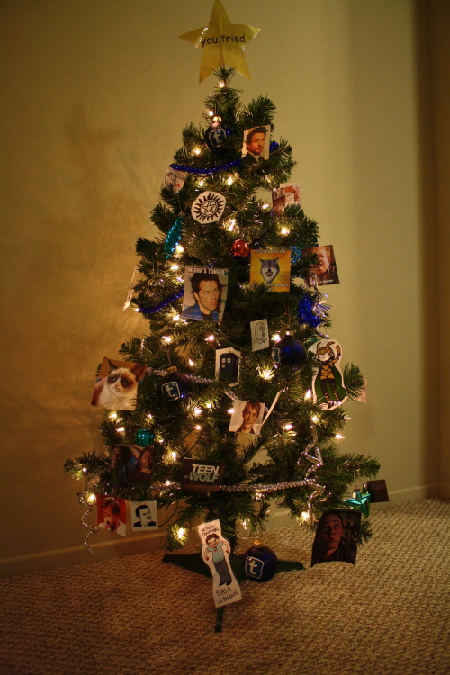 shlokiam: frostgiant-asgardianprince: crummywater: Bought and Tumblrfied my Christmas Tree today! I 