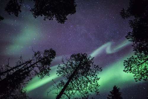 stunningsurroundings:  Northern Lights 