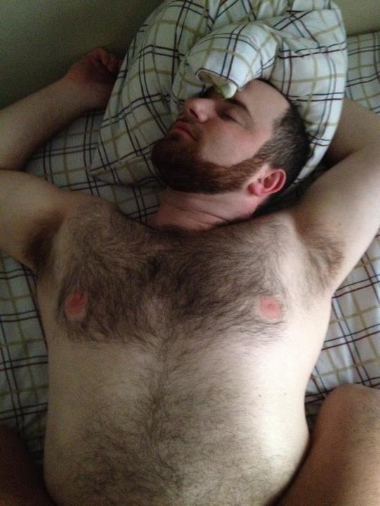 superbears:  DELICIOUS TITIES BEAR