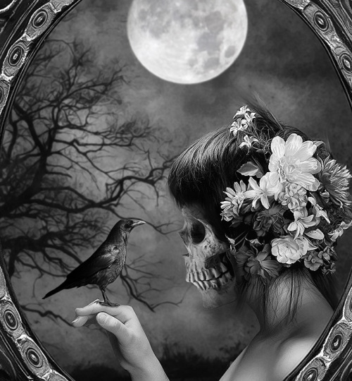 drdekill:  (Contemplate Life by ~MachiavelliCro) “There will be killings again… this midnight… as another raven became silent in the dusk.” —James McWeathermorten 