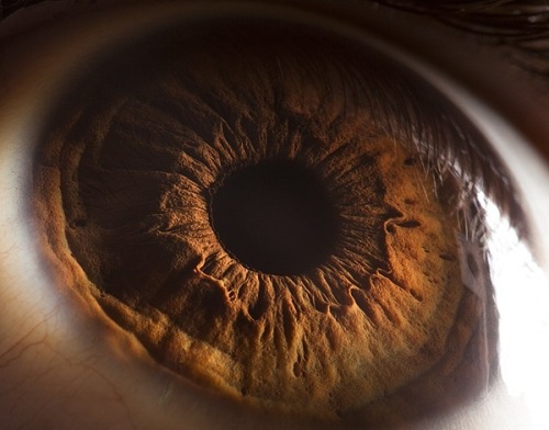  Extreme close-ups of human eyes by Suren porn pictures