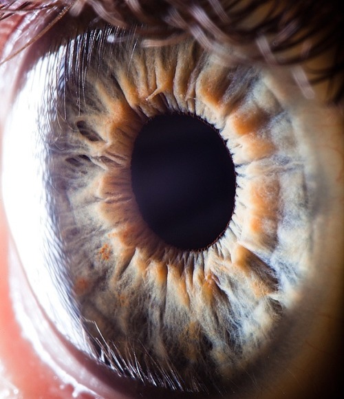 sheerio-stormer777:   Extreme close-ups of human eyes by Suren Manvelyan  WOAH 