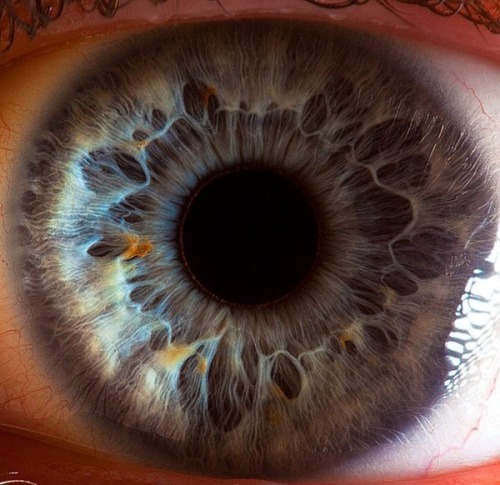 Sex  Extreme close-ups of human eyes by Suren pictures