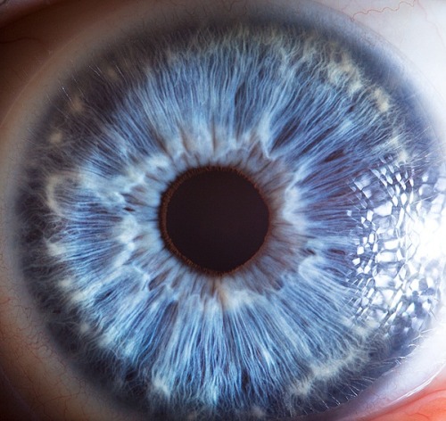 vfrankmd:  sosuperawesome:  Extreme close-ups of human eyes by Suren Manvelyan  Windows to the soul. 