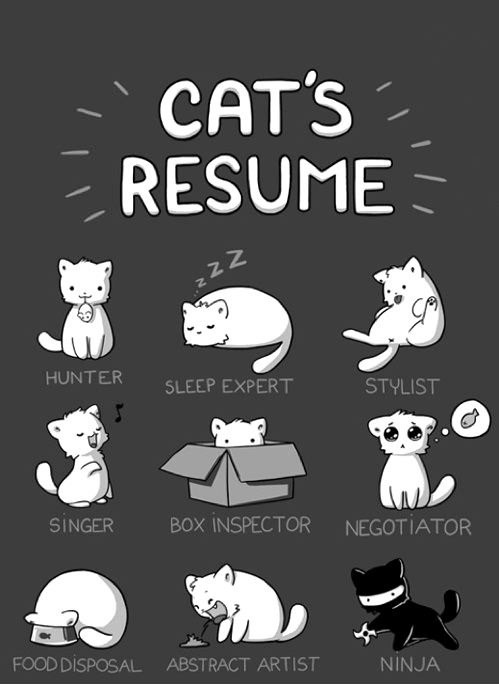 i want: