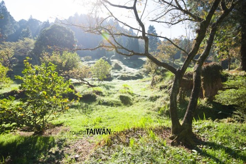 Alishan Alishan (阿里山) is one of the most well known scenic attractions in Asia. The area is popular 