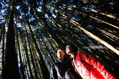 Alishan Alishan (阿里山) is one of the most well known scenic attractions in Asia. The area is popular 