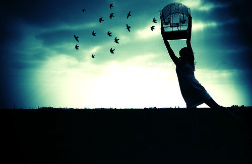 Love, Joy & Photography. @weheartit.com  http://whrt.it/T1n7I6