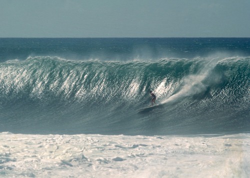 surfing