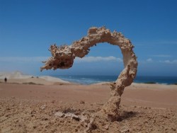 thedailywhat:  This is What Happens When Sand Gets Struck by Lightning: Fulgurites are natural hollow glass tubes formed in quartzose sand, silica, or soil by lightning strikes (at 3,270 °F), which instantaneously melts silica on a conductive surface