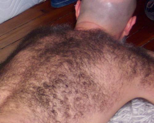 backfur:  hairybackedman:  hairiest back ever  Nope my boyfriends is hairier, still damn nice though