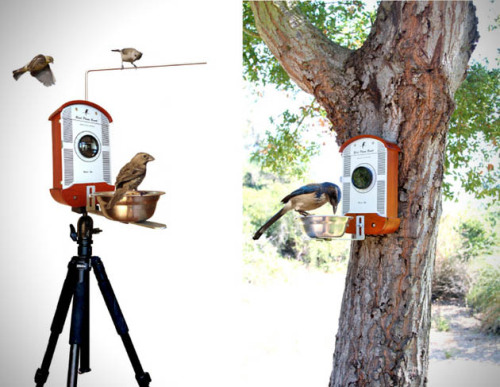 brain-food:  Bird Photo Booth The Bird Photo Booth is essentially a hand crafted bird feeder made from sustainably harvested wood along with CNC cut metal components that features a large macro lens fixated to the front. The macro lens attaches to the