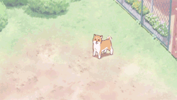 ui-peace:  anime dogs are nearly as cute