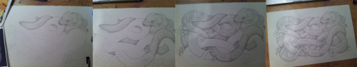 quickdrawcollective: Here’s a bit of my process work for making a graphite drawing! After this