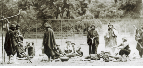 humorhistorico:Prisioneros de guerra mapuches, vendidos por el Estado Chileno a un zoológico humano francés, año 1883. Y hay imbéciles que dicen que reclaman por weas.