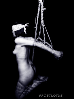 Kinbaku